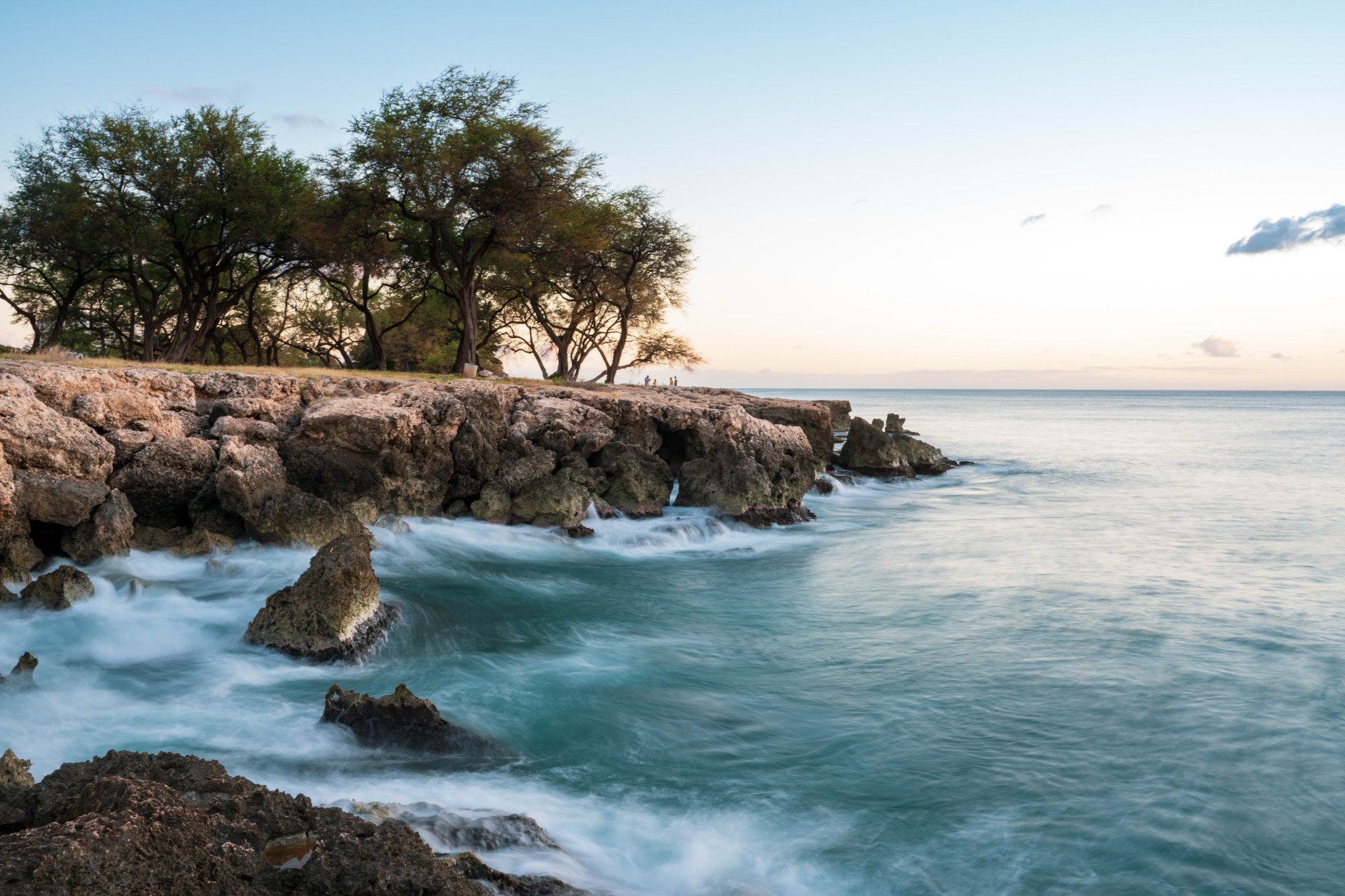 Trees and rocky coastline overlooking the ocean